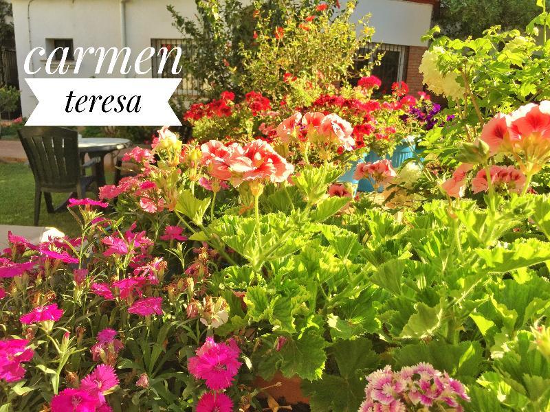 Hotel Carmen Teresa Torremolinos Luaran gambar