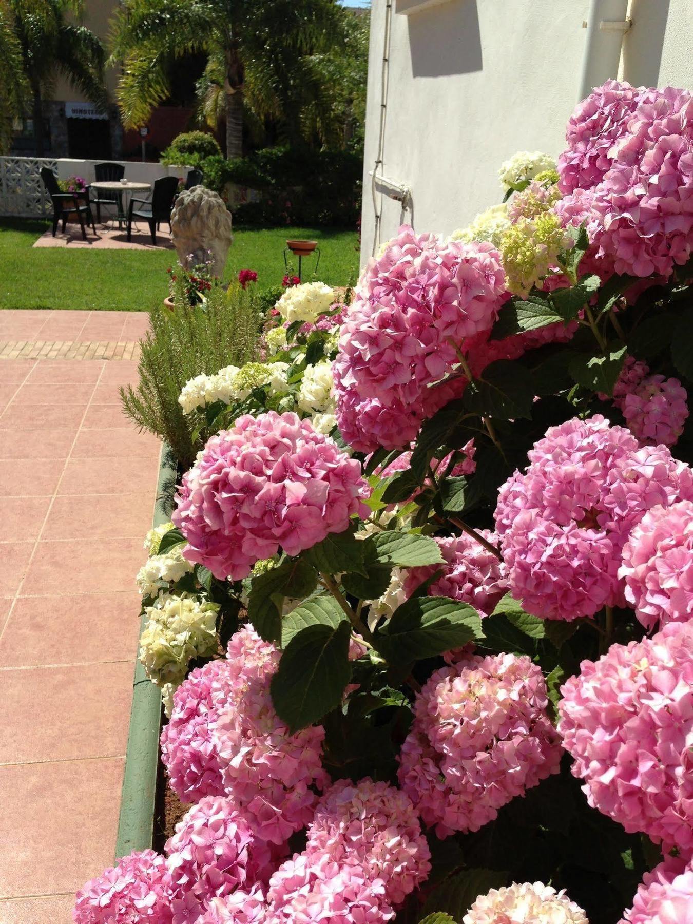 Hotel Carmen Teresa Torremolinos Luaran gambar