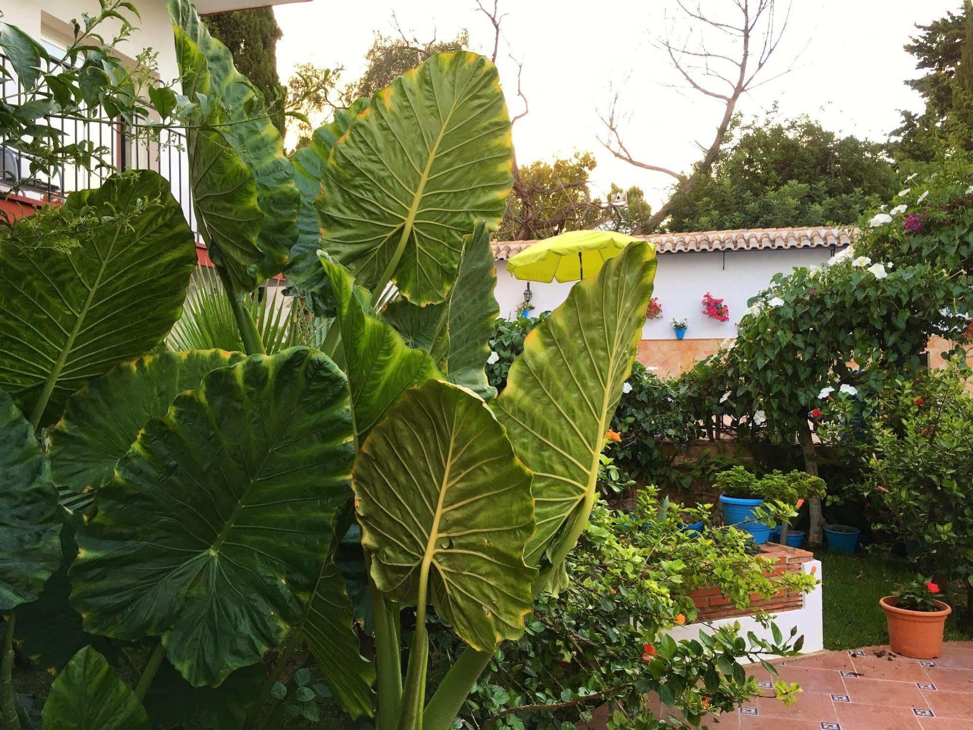 Hotel Carmen Teresa Torremolinos Luaran gambar